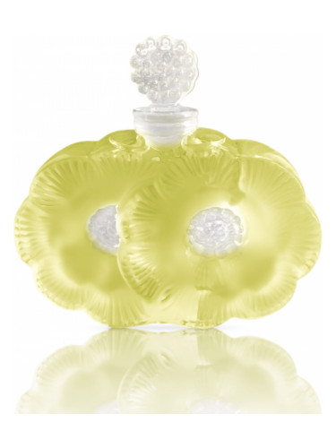 عطر پردیس پروونس شالینی