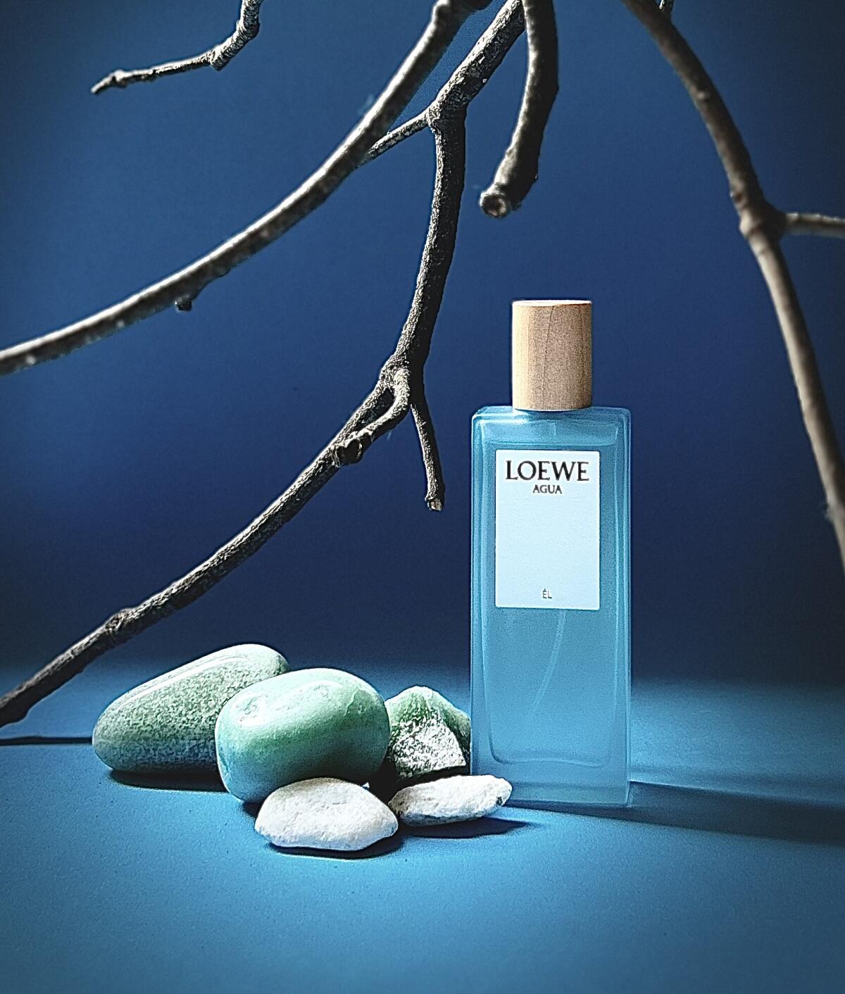 تصویر عطر آگوا د لوئوه ال