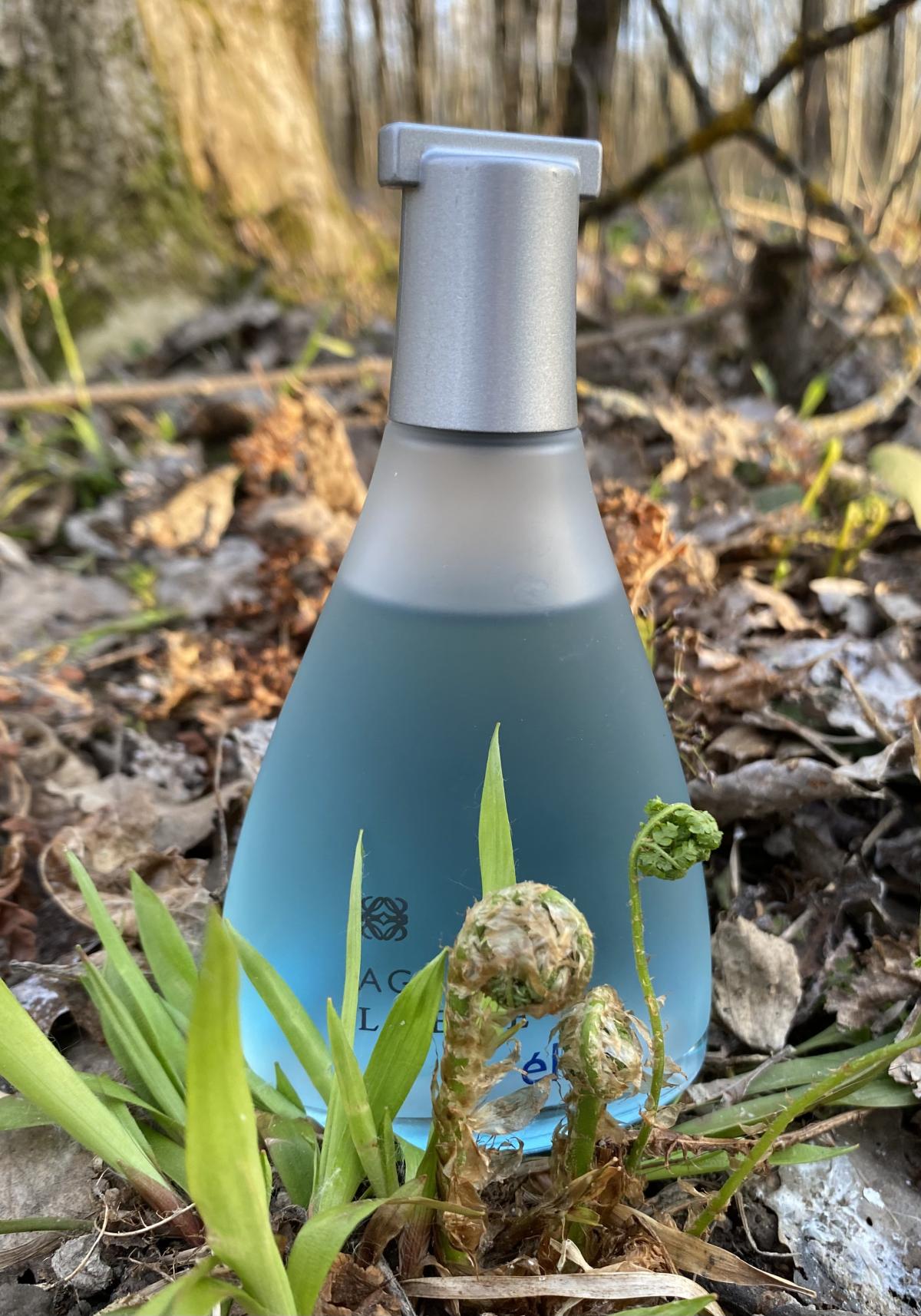 تصویر عطر آگوا د لوئوه ال