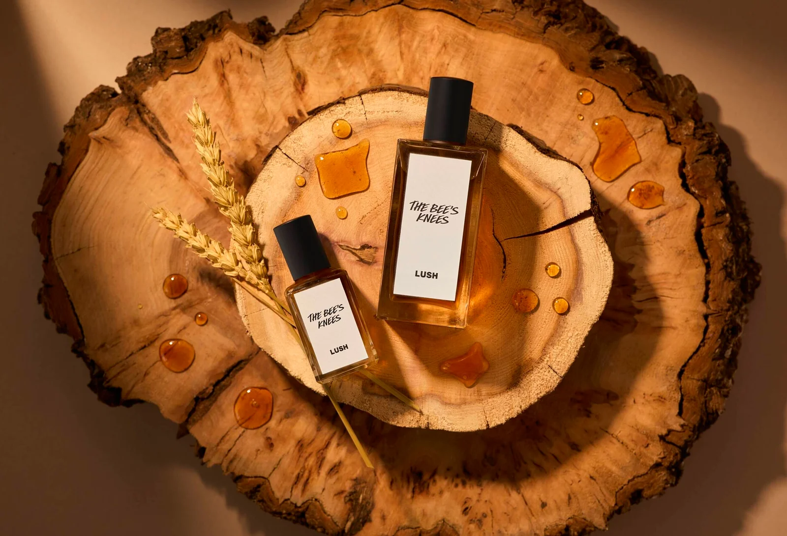 تصویر عطر دی بیز نیز لاش