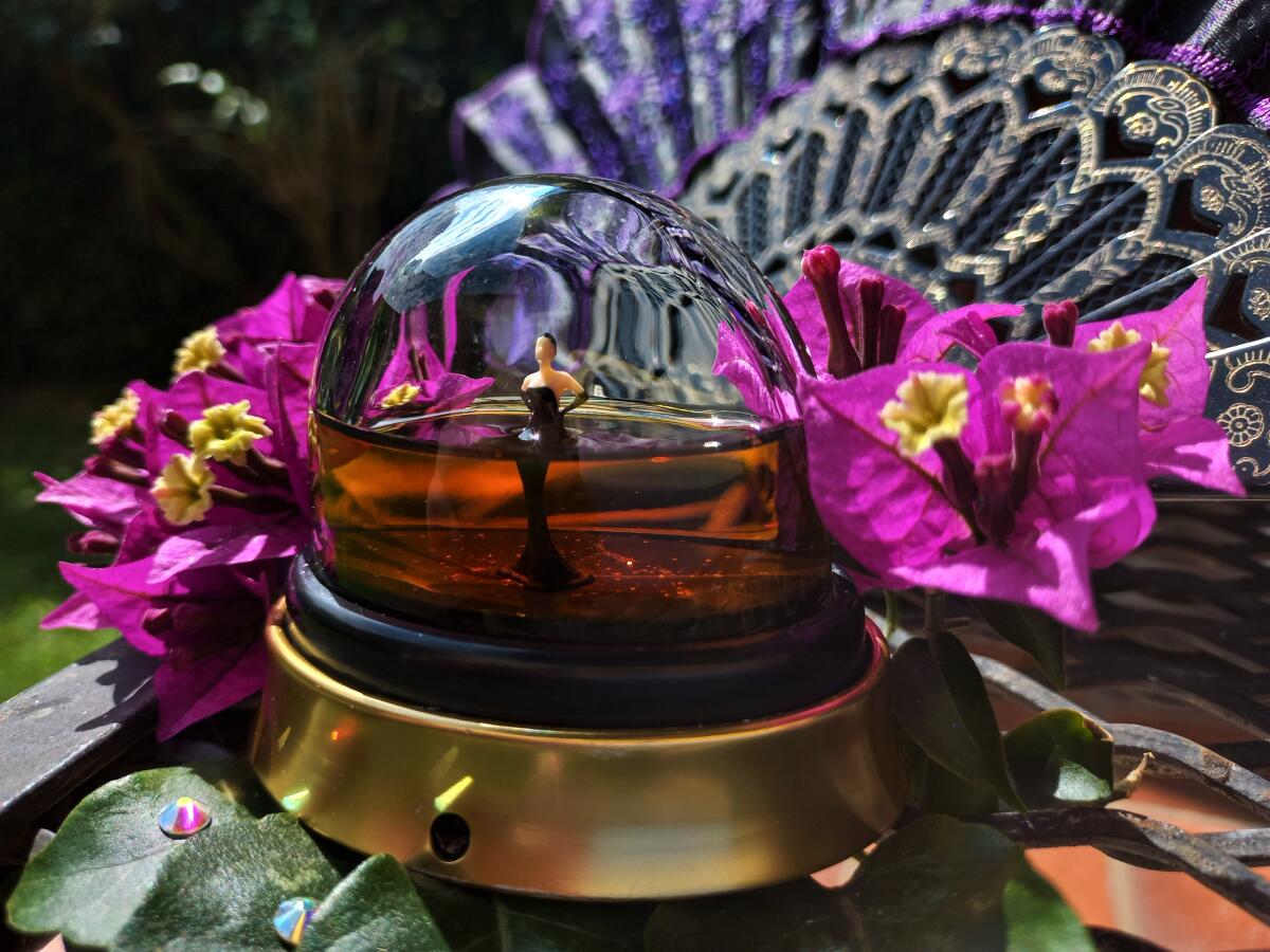 تصویر عطر فراژایل ژان پل گوتیه