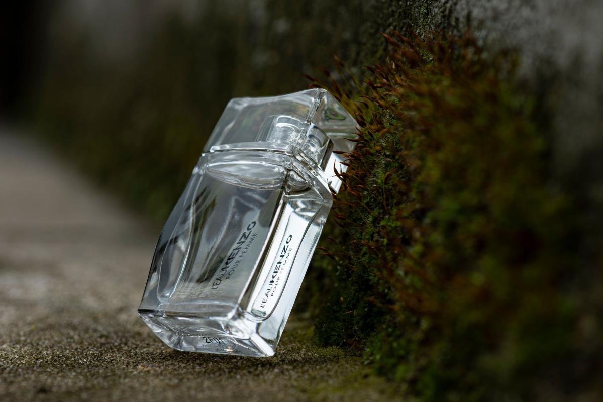 تصویر عطر لو پار کنزو