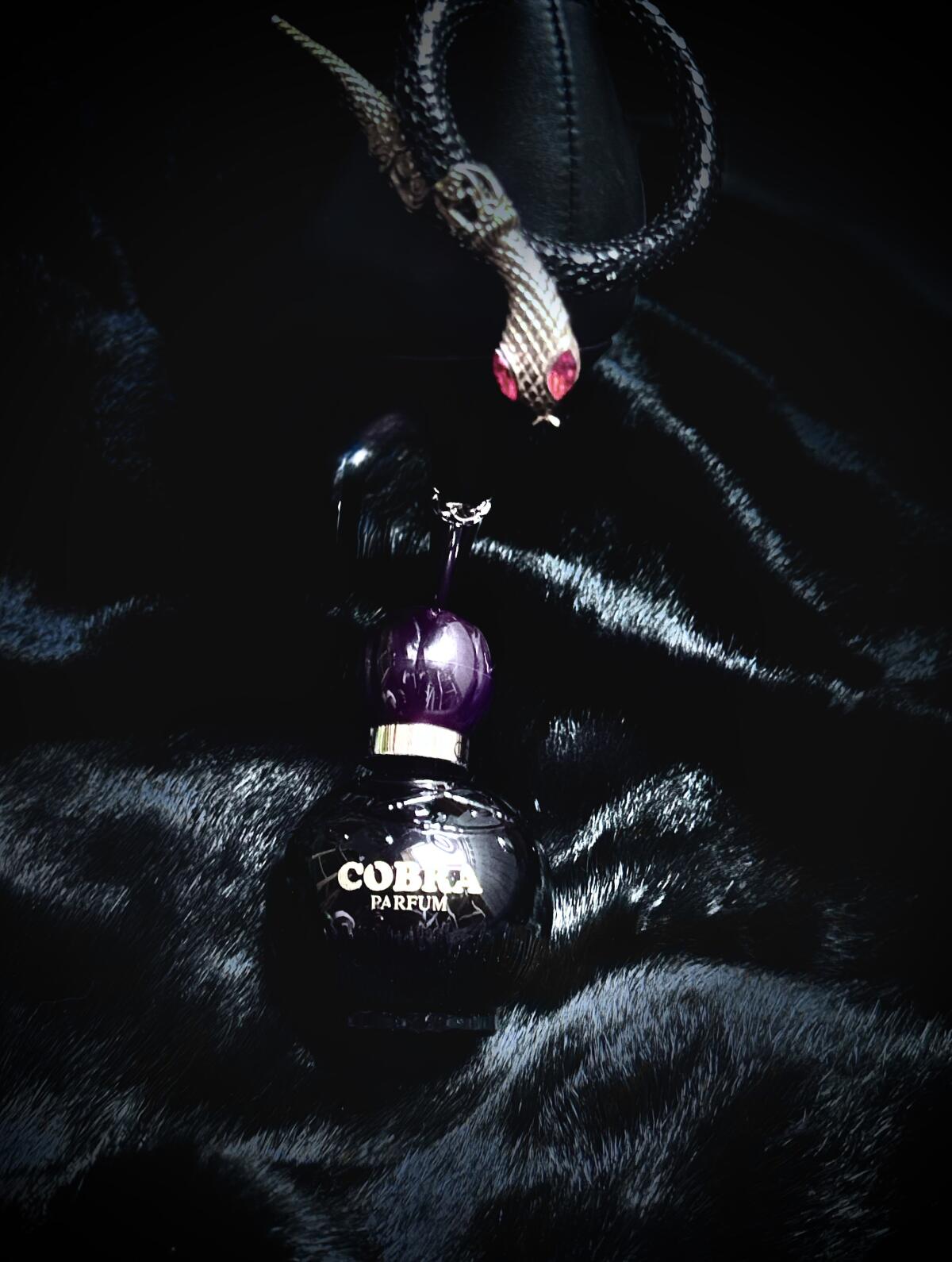 تصویر عطر کبرا ژان آرتس
