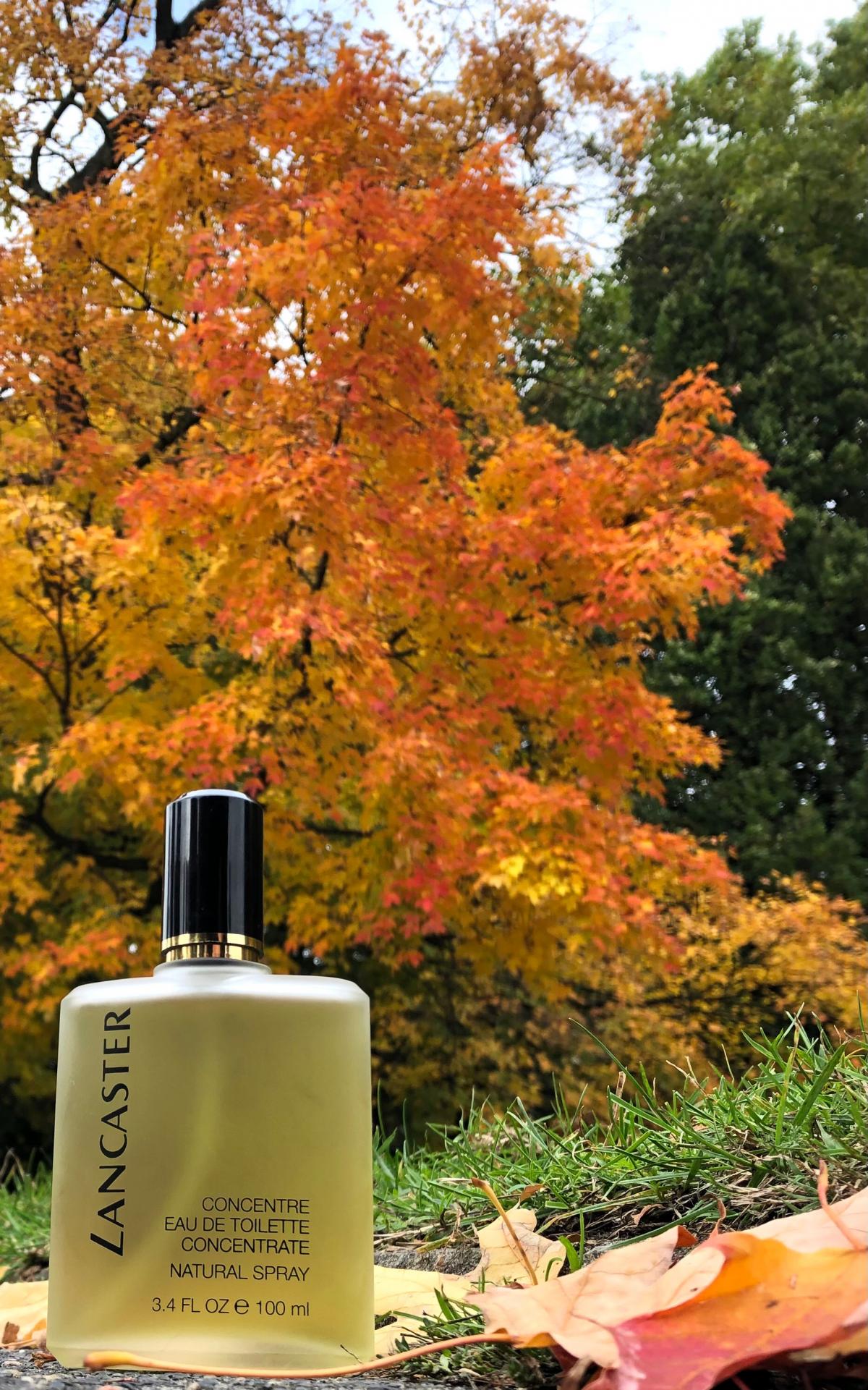 تصویر عطر لنکستر او دو کنسنتره لَنکَستر