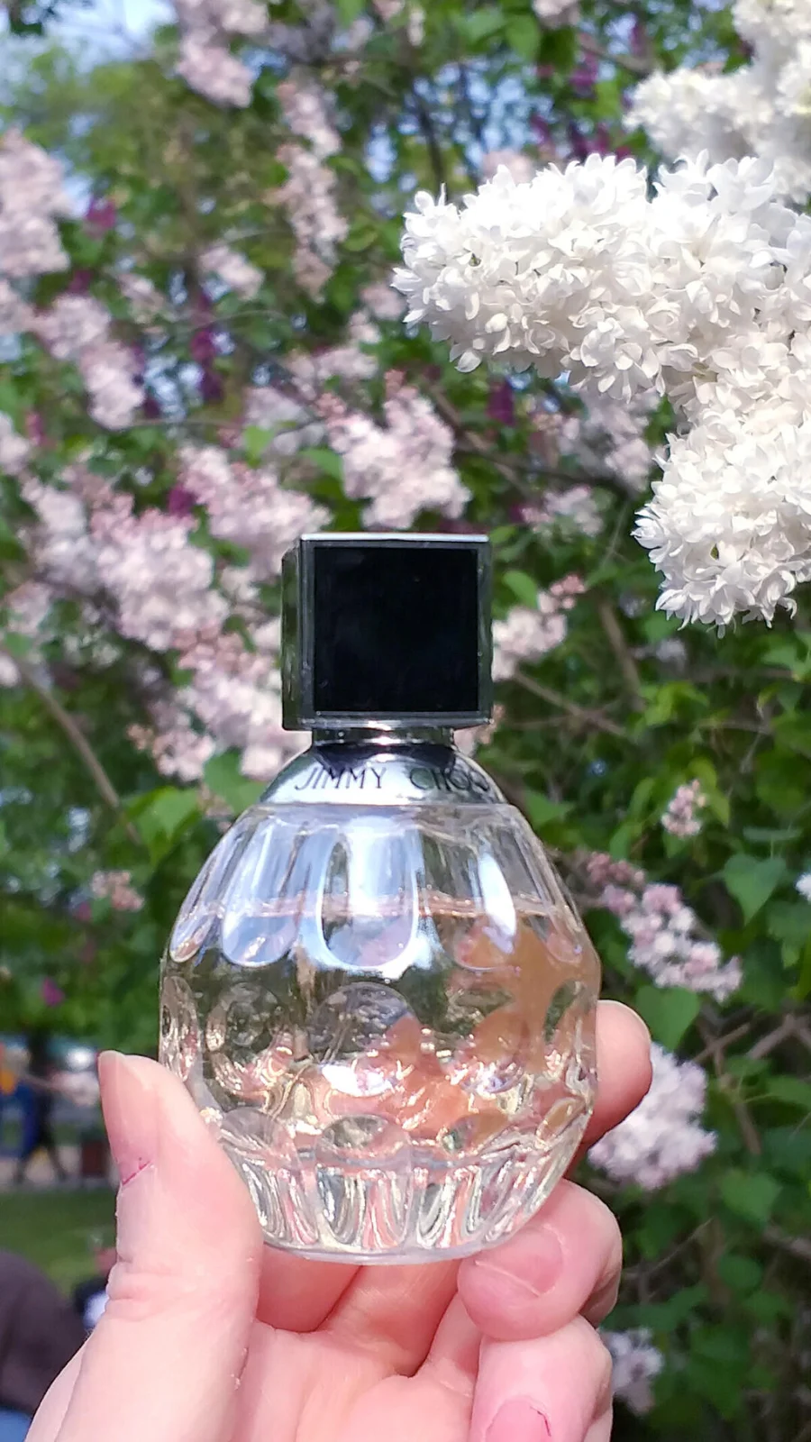 تصویر عطر جیمی چو