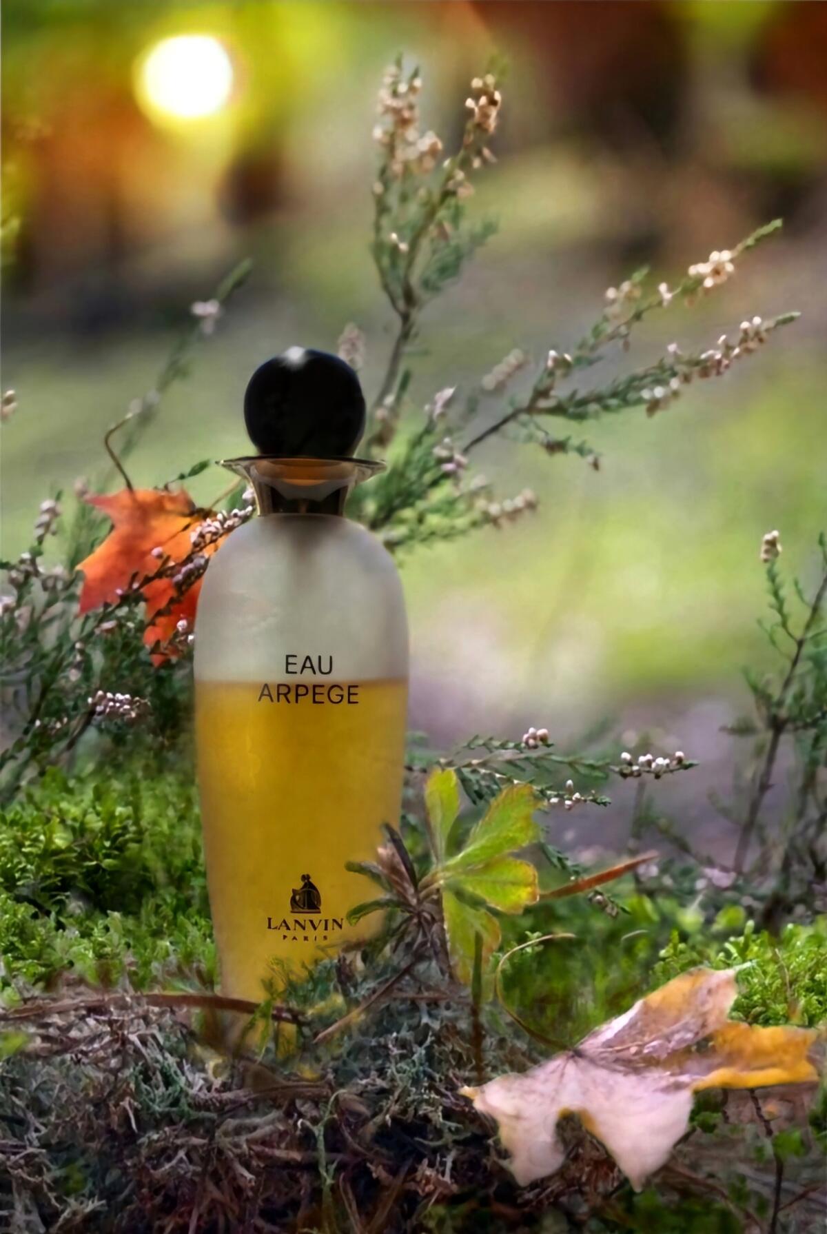 تصویر عطر آرپژ او دلیسیوس لانوین