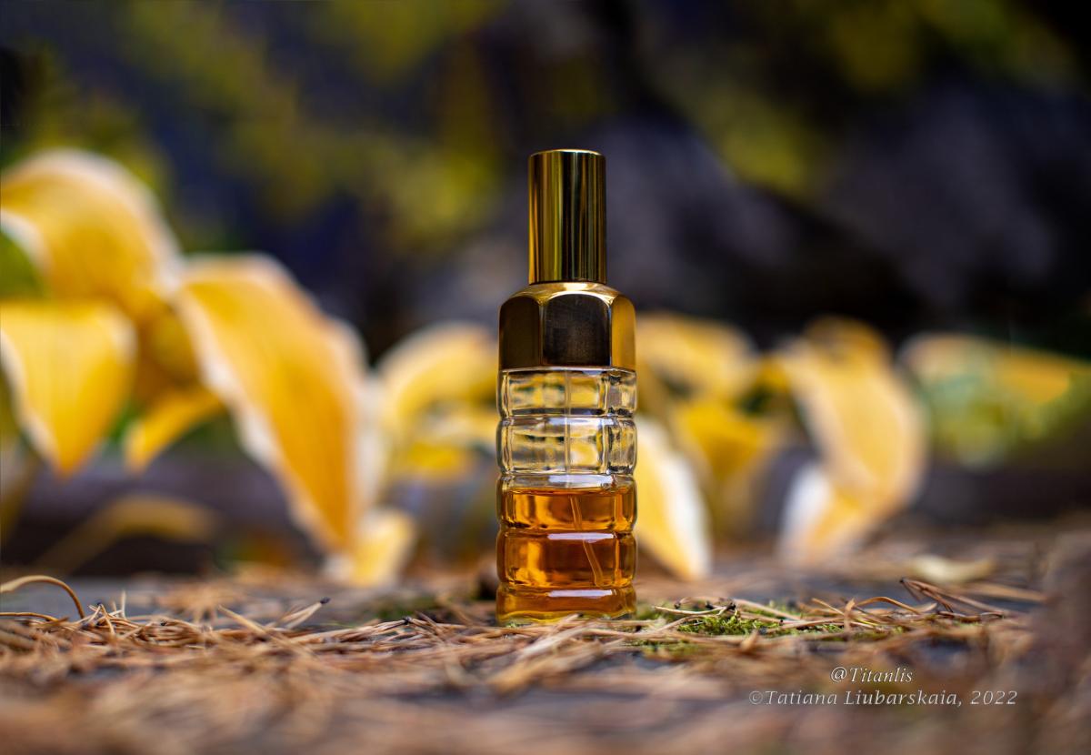تصویر عطر آژور استی لودر