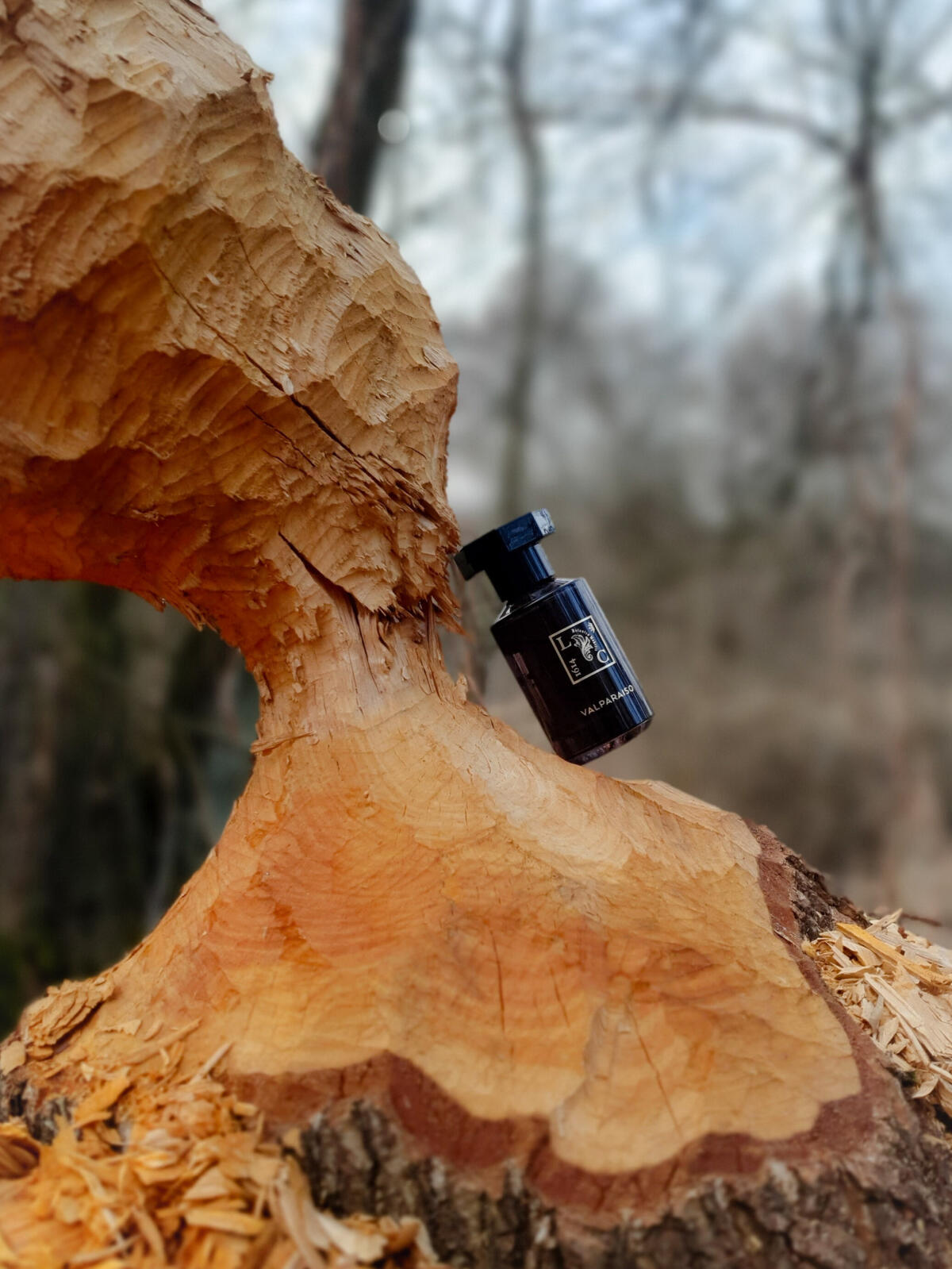 تصویر عطر والپارایزو لو کووان مزون دو پرفیوم