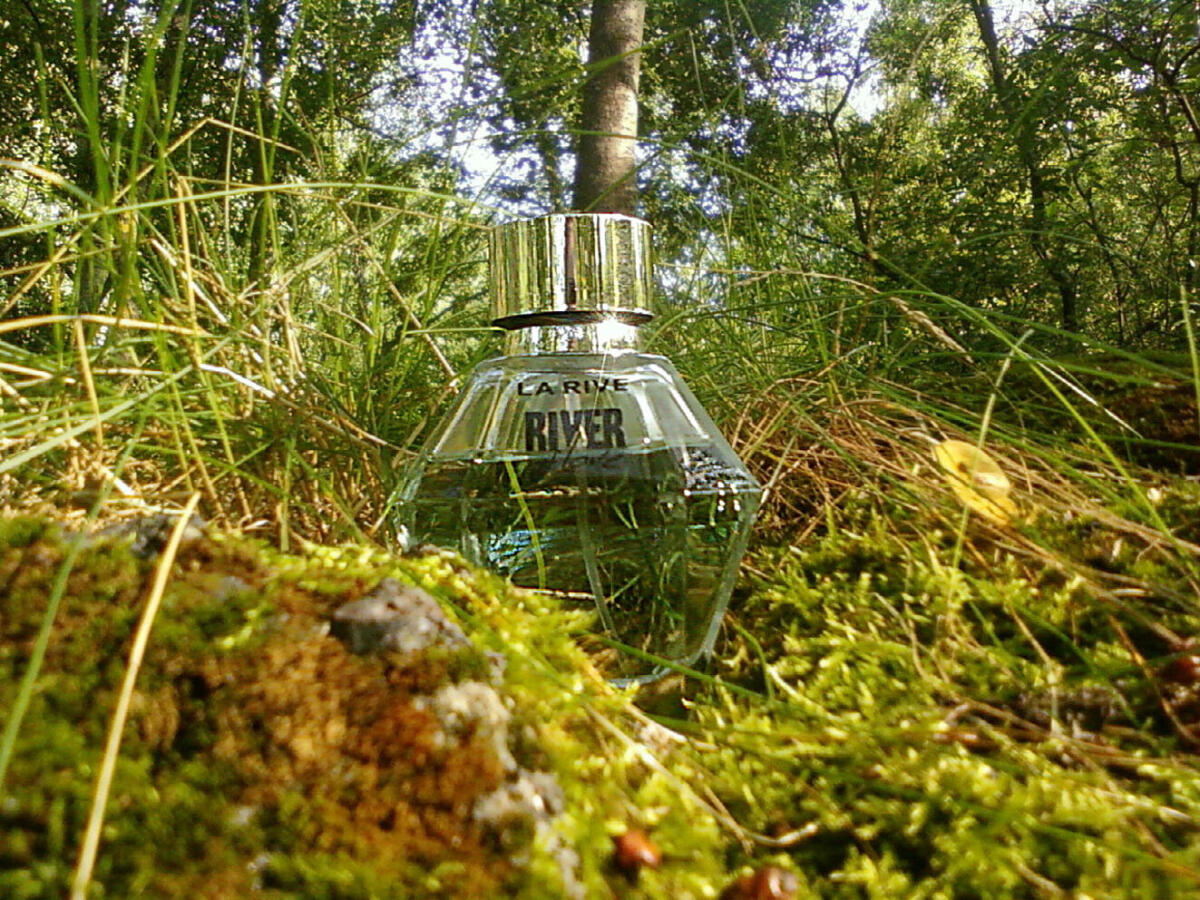 تصویر عطر ریور آو لاو لا ریو