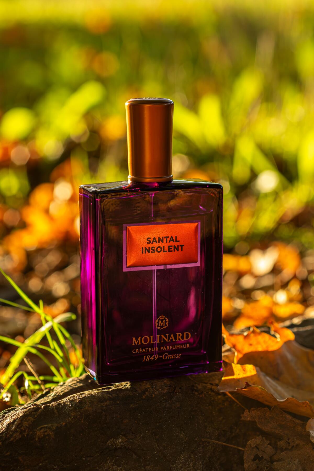 تصویر عطر سنتال اینسولنت مولینار