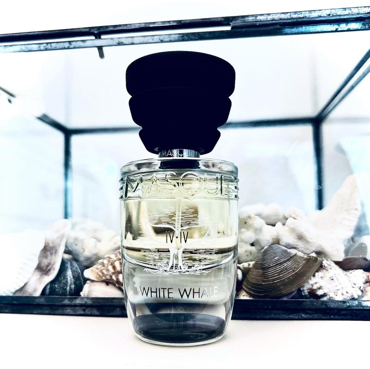 تصویر عطر وایت وِیل ماسک میلانو