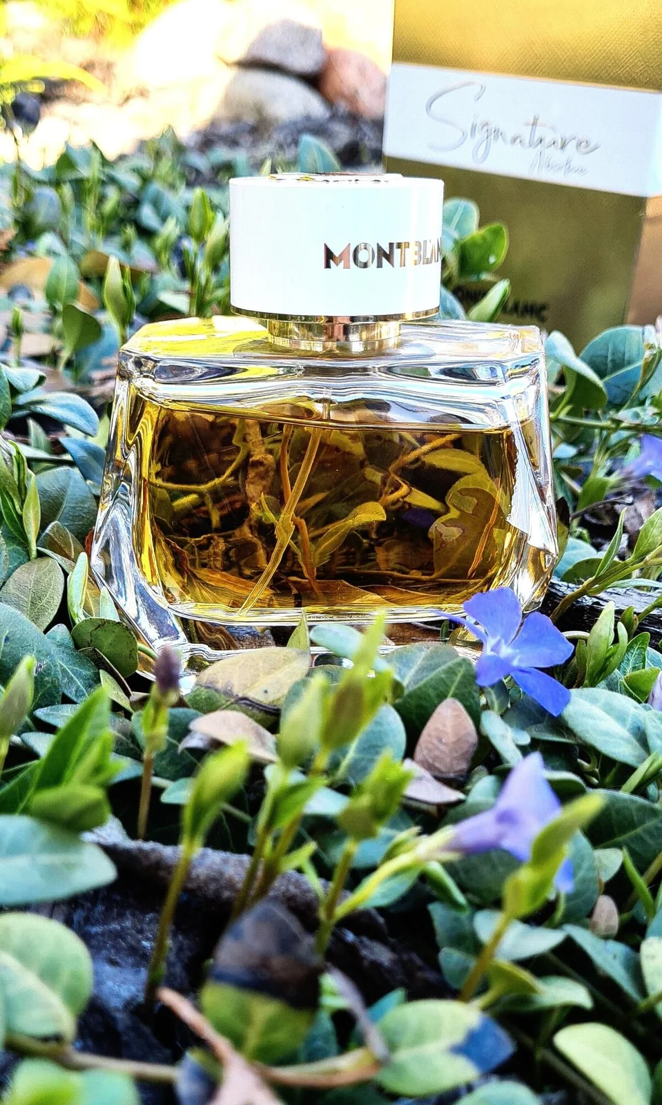 تصویر عطر سگنیچر آبسولو مون‌بلان