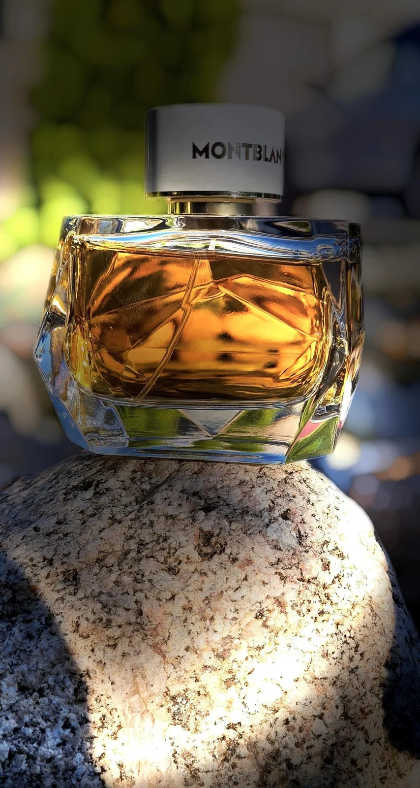 تصویر عطر سگنیچر آبسولو مون‌بلان