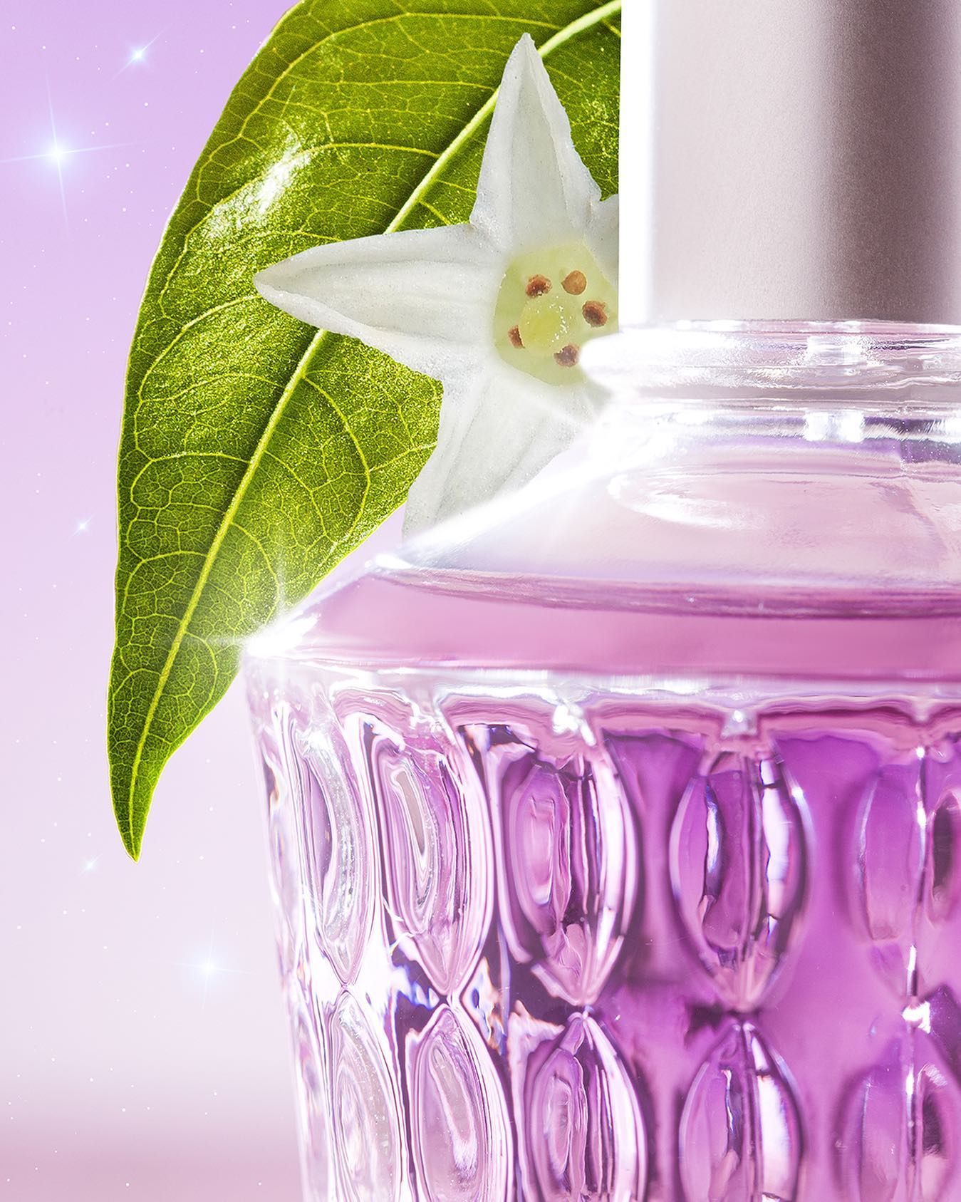تصویر عطر داما دا نویت استرلادا لوکسیتان او برزیل