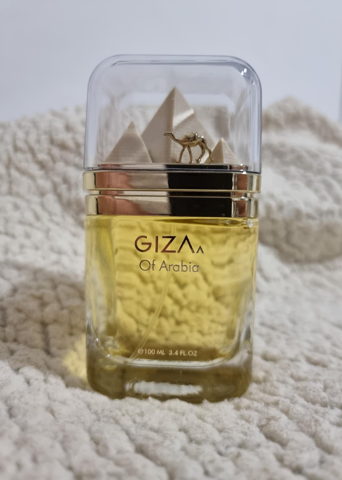 تصویر عطر گیزا آف عربیا لو شامو