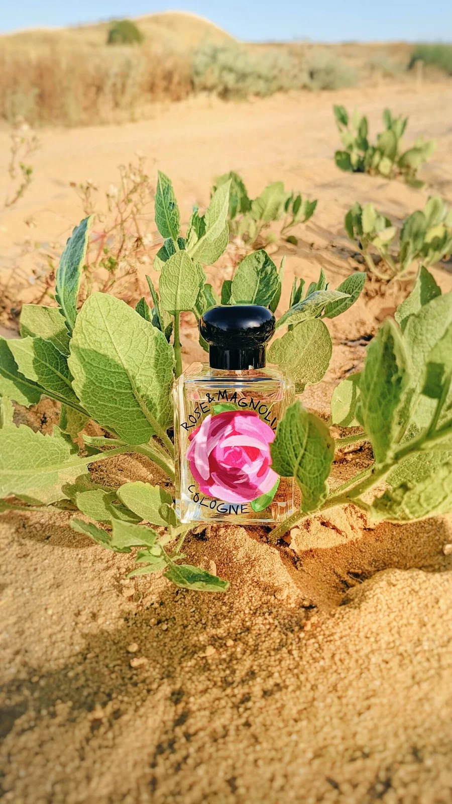 تصویر عطر رز اند مگنولیا کلون ۲۰۲۴ جو مالون لندن
