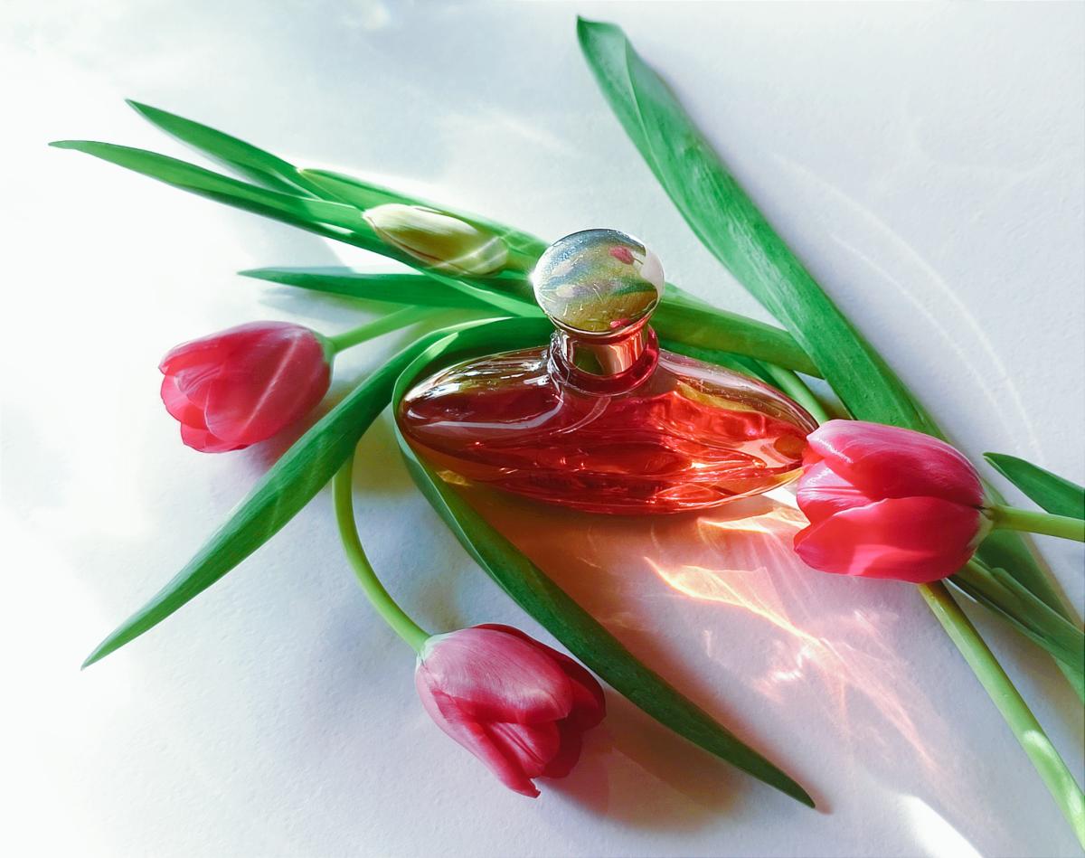 تصویر عطر جان وارواتوس