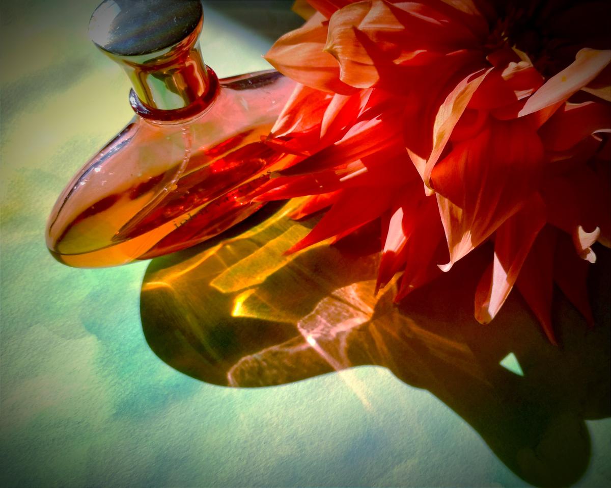 تصویر عطر جان وارواتوس
