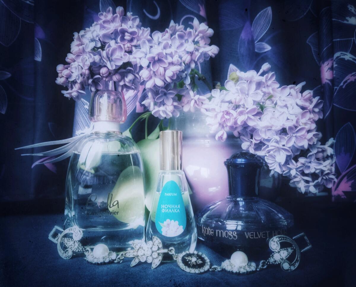 تصویر عطر ولوت اور کیت ماس