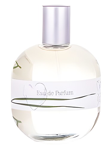 تصویر عطر ماتین دته پلیس ده لیس