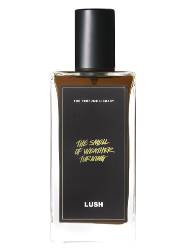 تصویر عطر د سمل آو ودر ترنینگ لاش