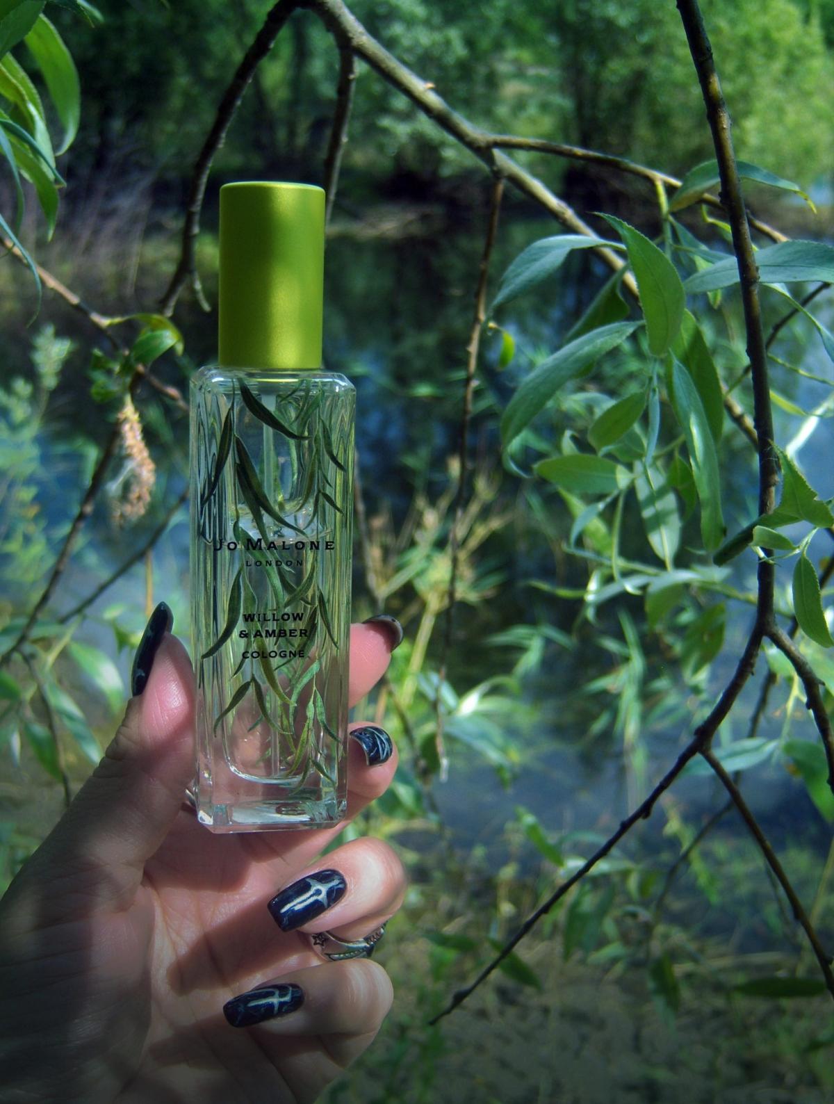 تصویر عطر ویلو و امبر جو مالون لندن