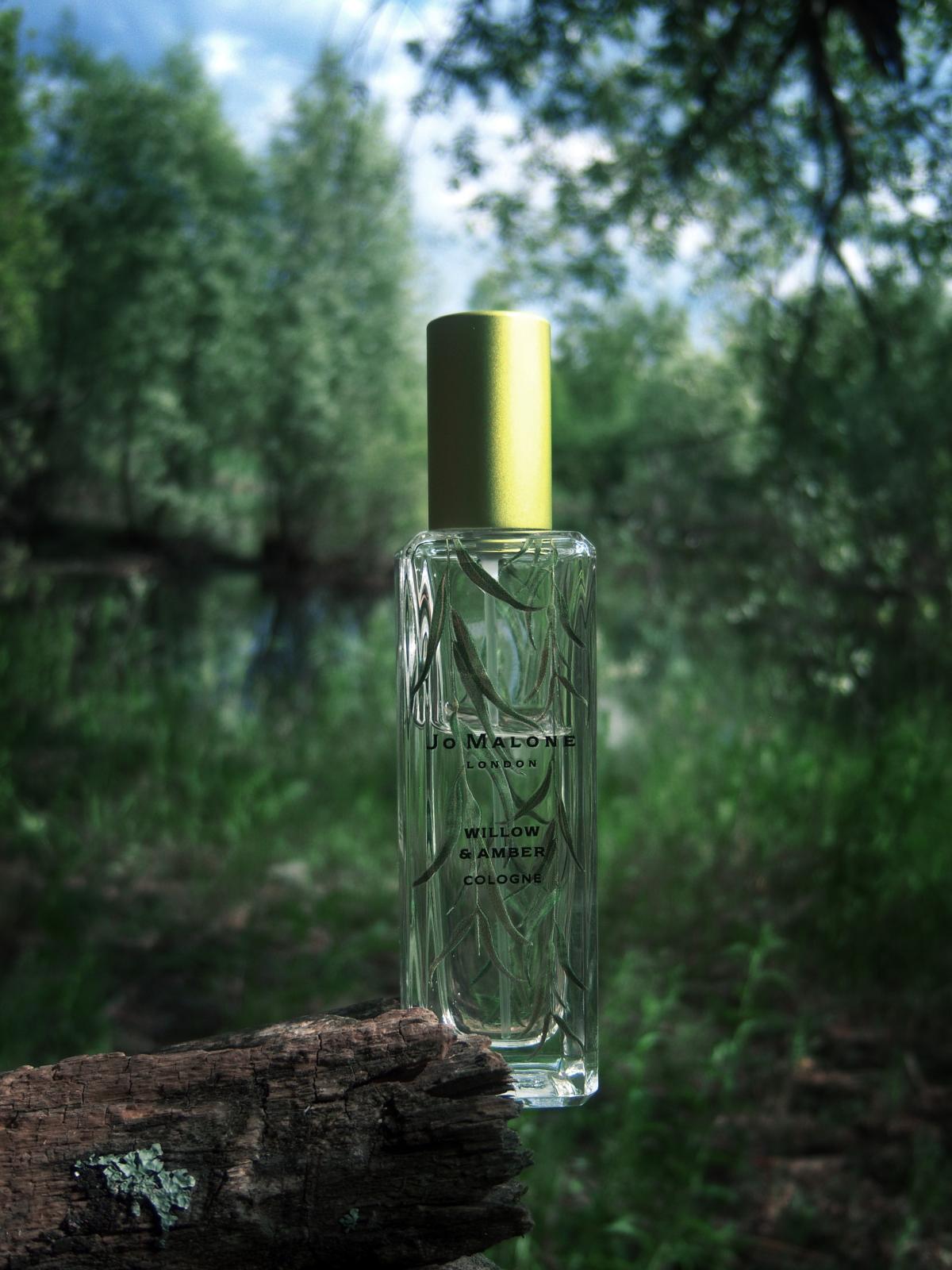 تصویر عطر ویلو و امبر جو مالون لندن