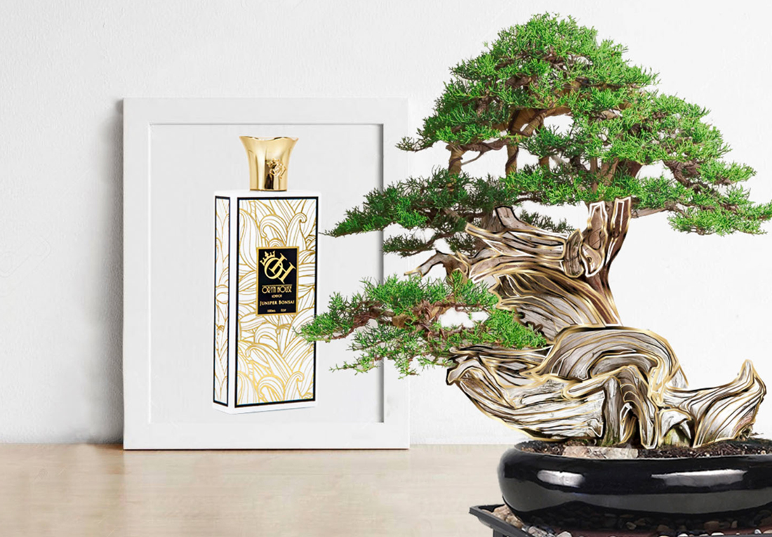 تصویر عطر جونیپر بونسای اورین هاوس