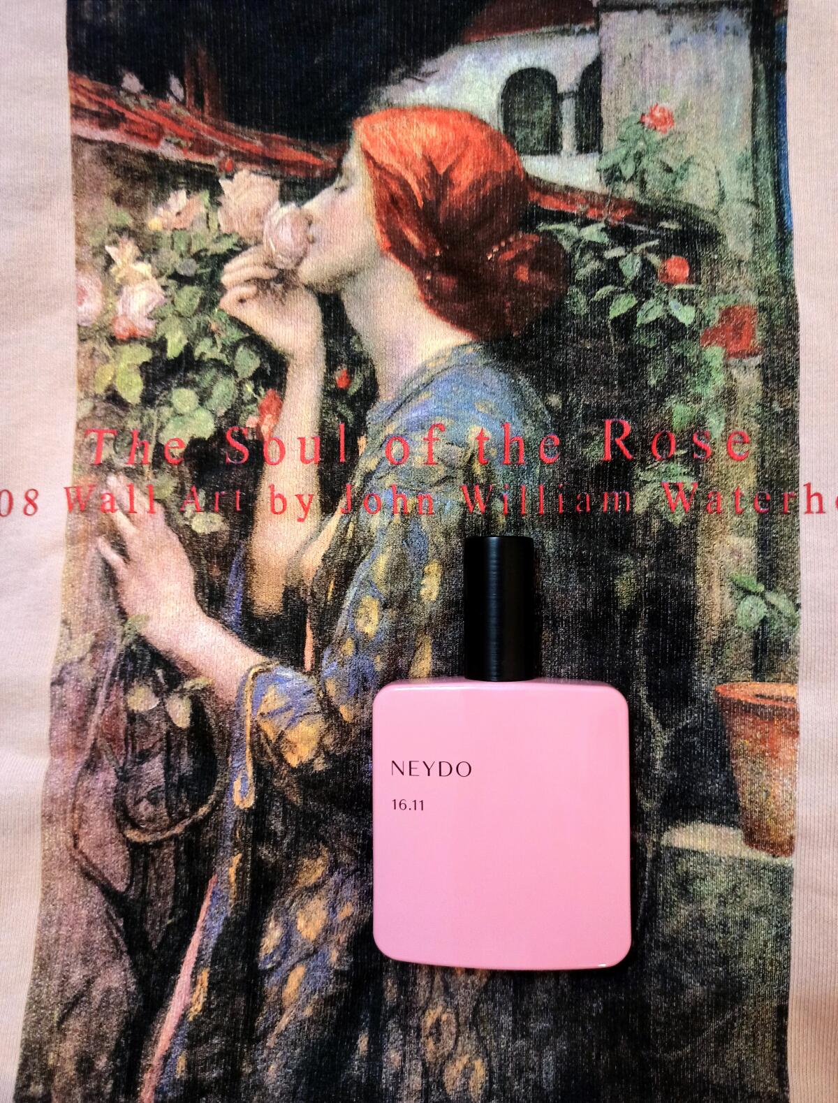 تصویر عطر بلاند ردهد سیکسین پوینت الون نیدو