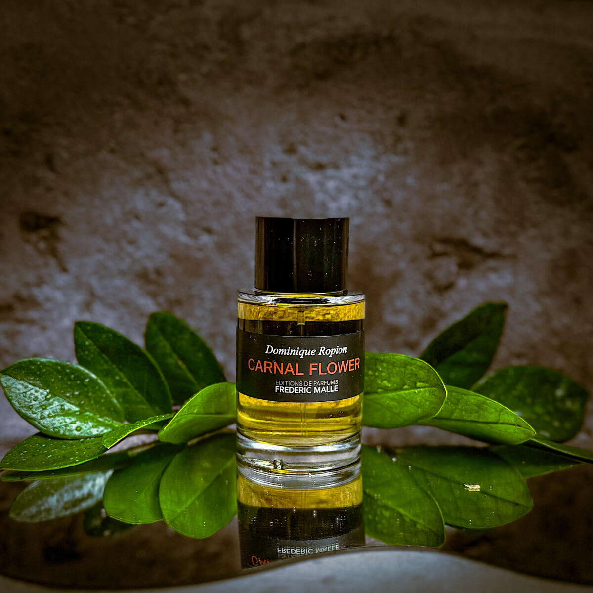 تصویر عطر کارنال فلاور فردریک مال