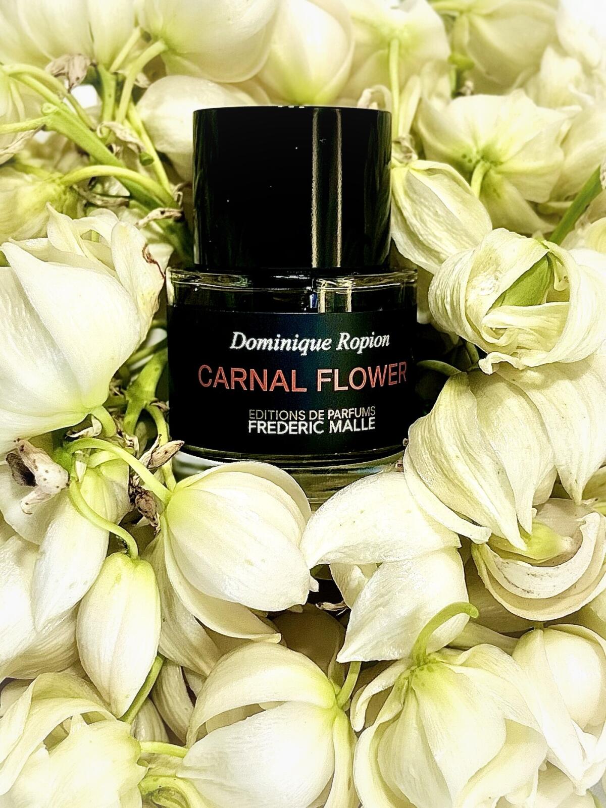 تصویر عطر کارنال فلاور فردریک مال