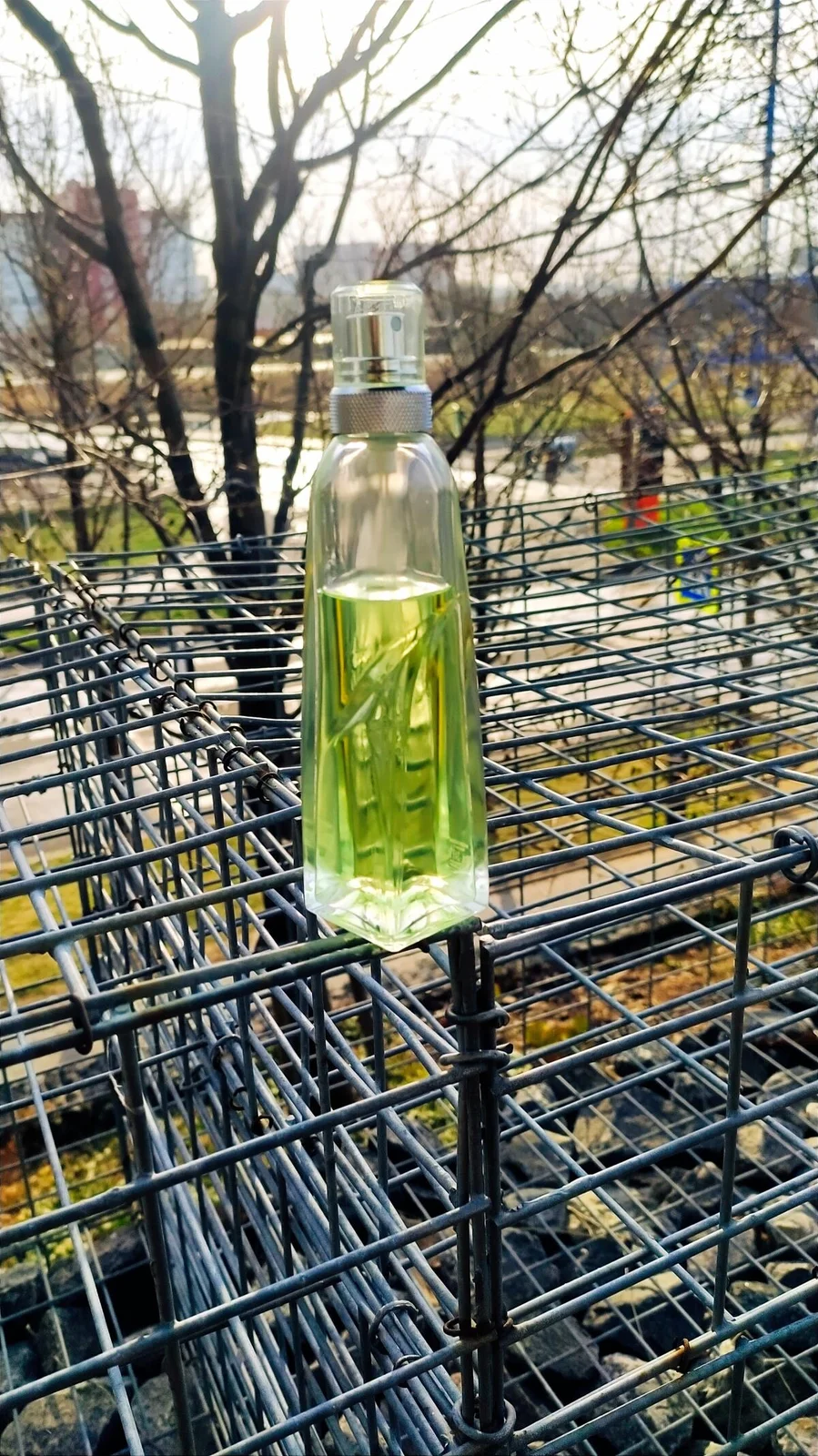 تصویر عطر ماگلر کُلُنی موگلر