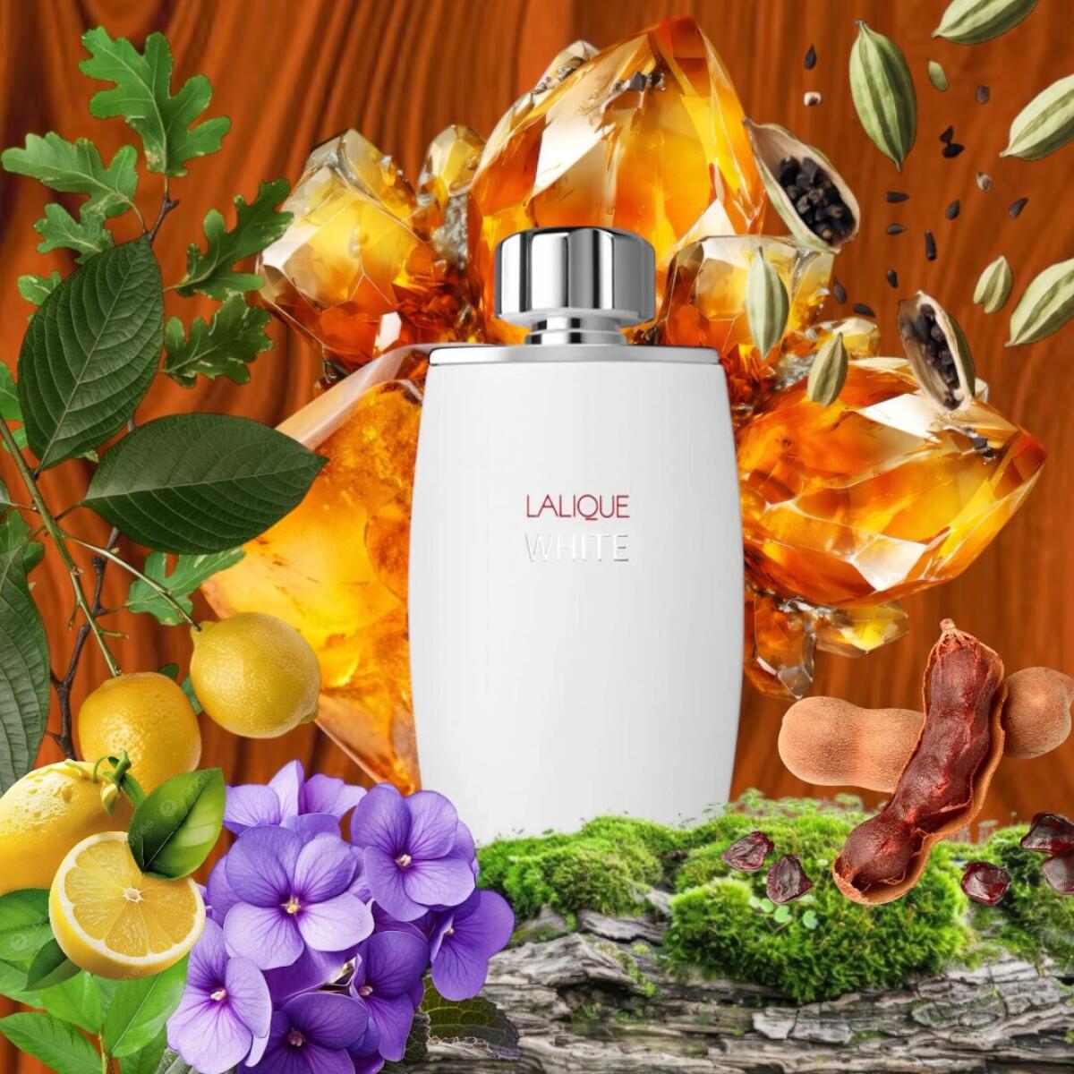 تصویر عطر لالیک وایت