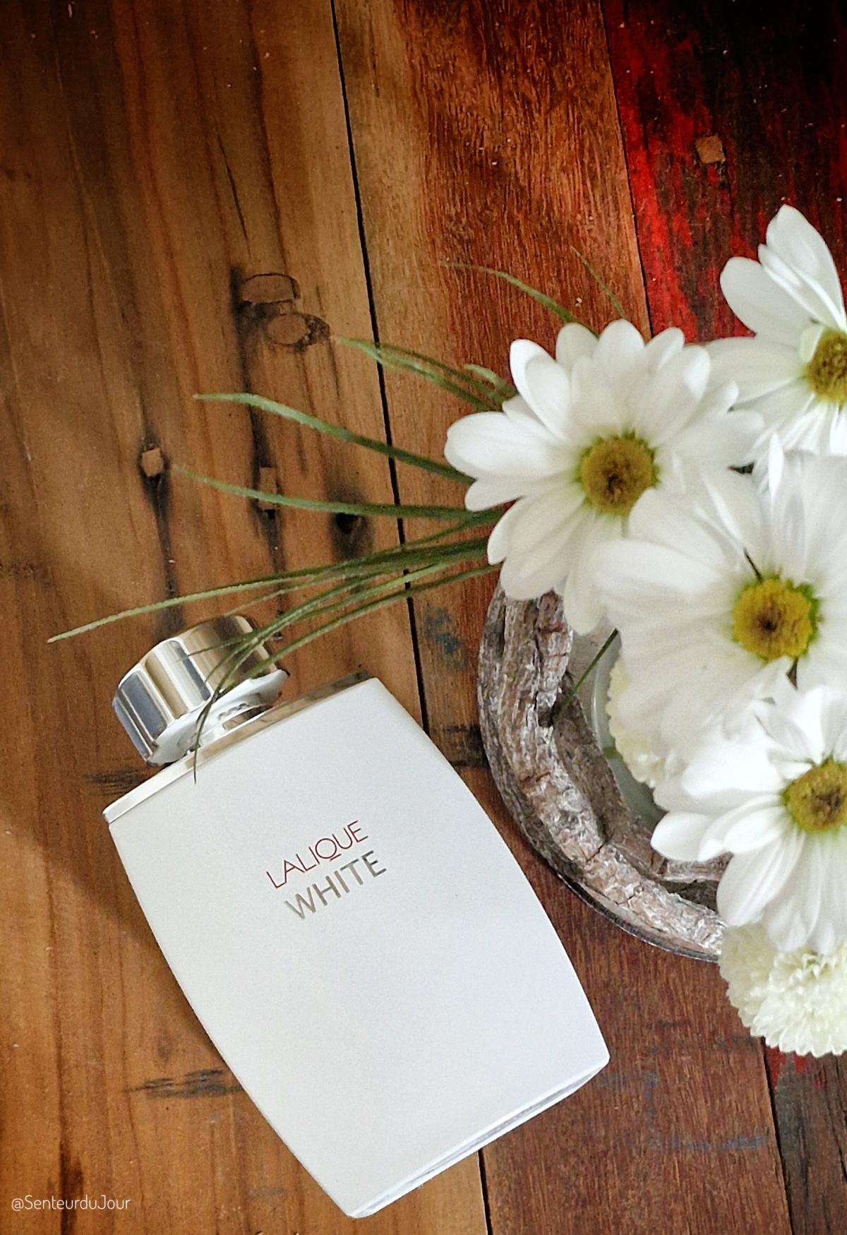 تصویر عطر لالیک وایت