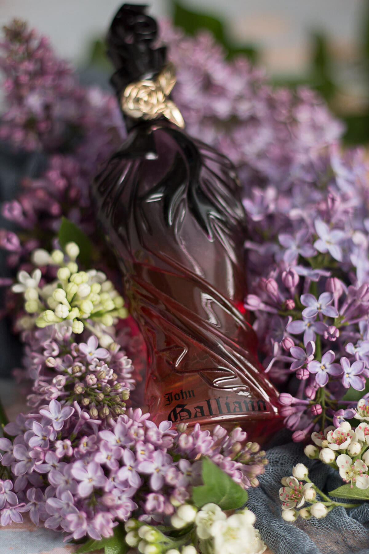 تصویر عطر جان گالیانو