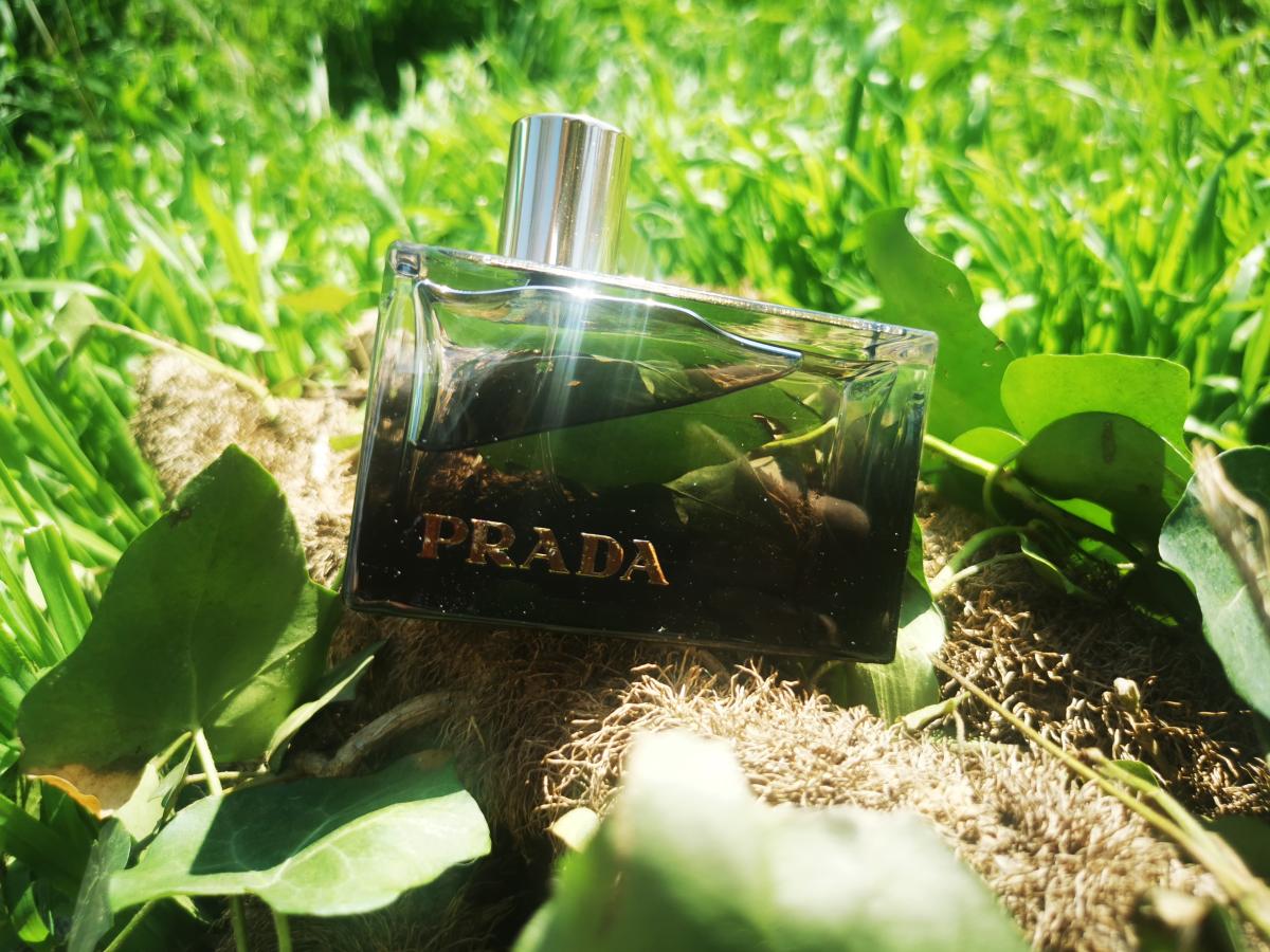 تصویر عطر لو آمبره پرادا