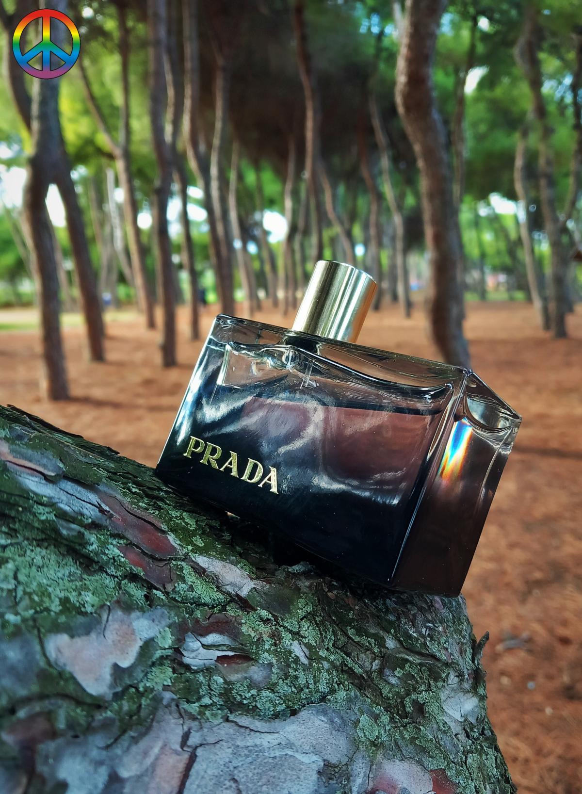تصویر عطر لو آمبره پرادا