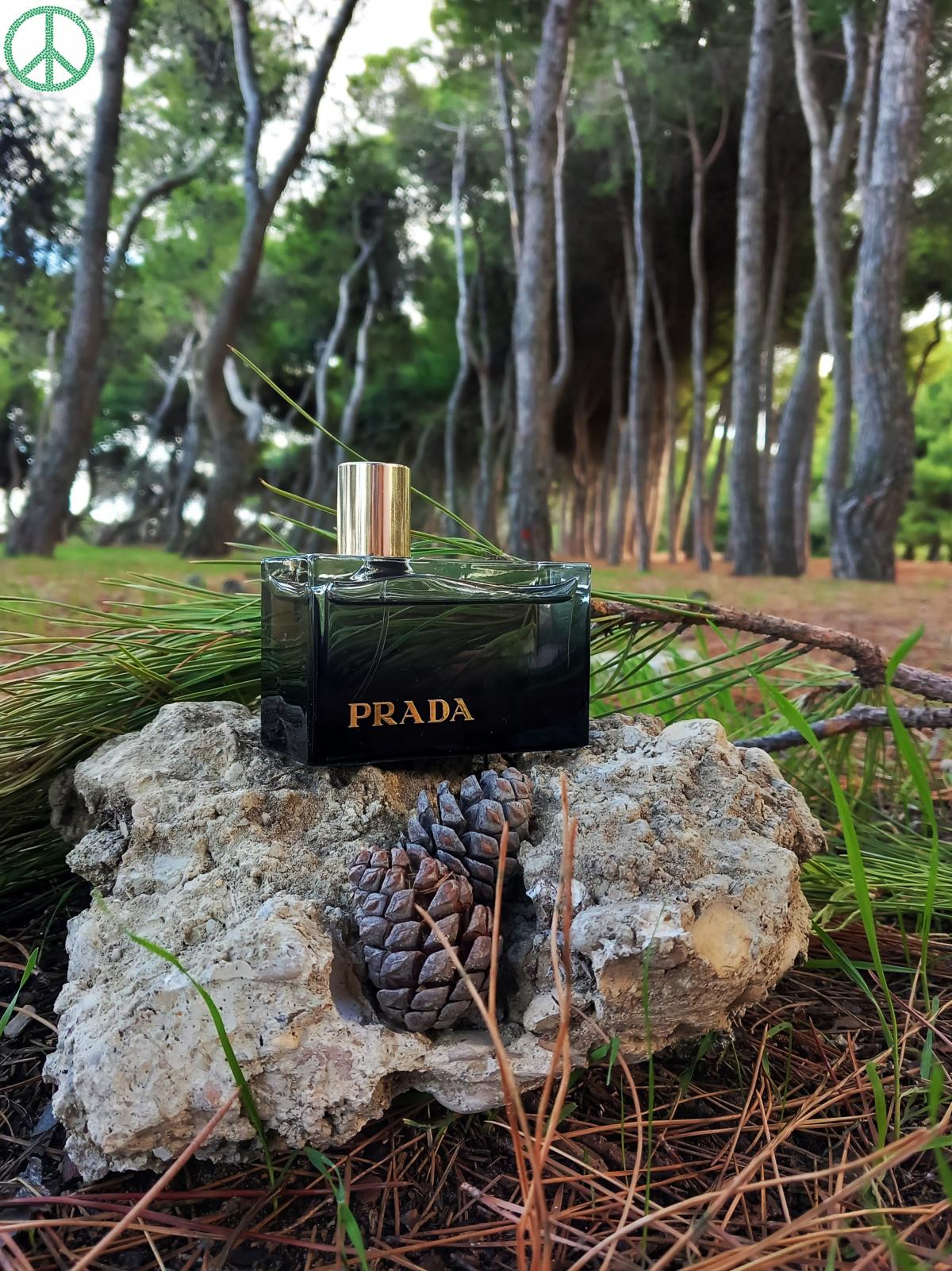 تصویر عطر لو آمبره پرادا