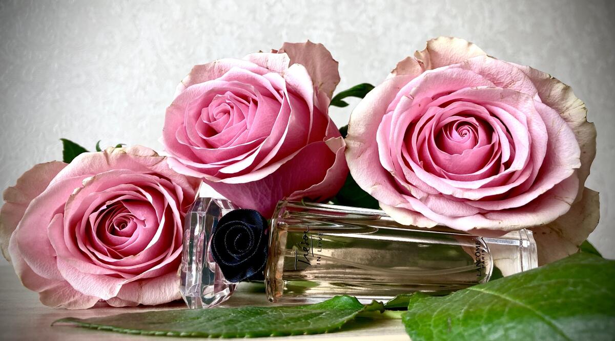 تصویر عطر ترزور این لاو لانکوم