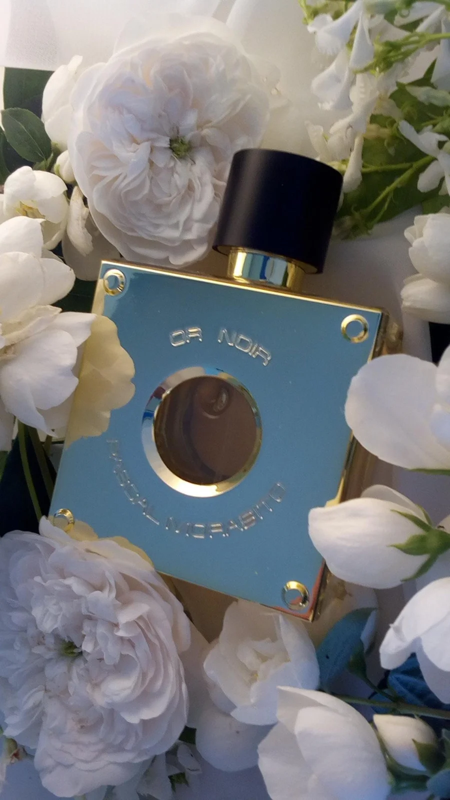 تصویر عطر اور نوآر پاسکال مورابیتو