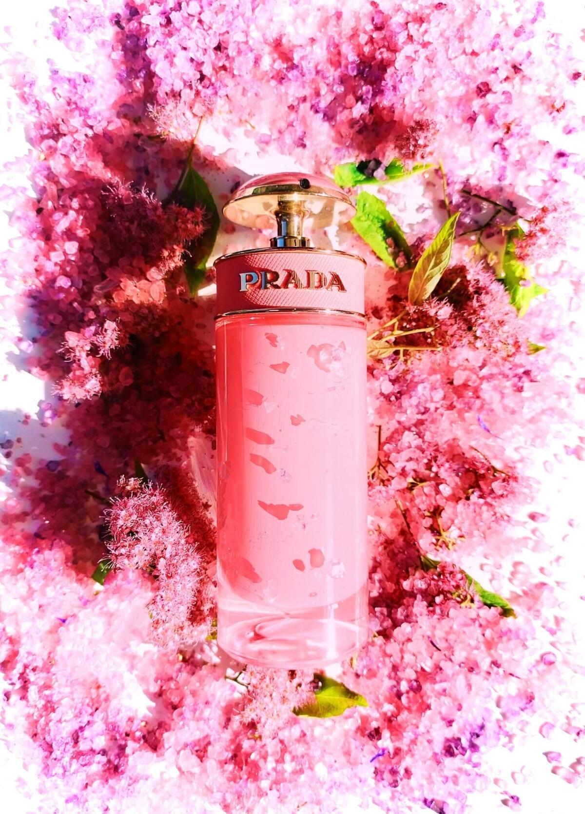تصویر عطر پرادا کندی گلاس