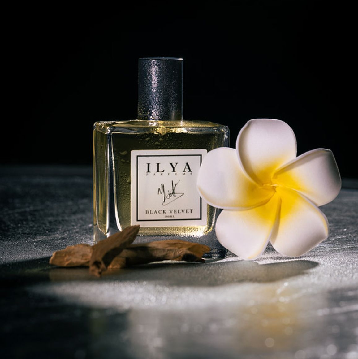 تصویر عطر بلاک ولوت ایلیا پرفیومز