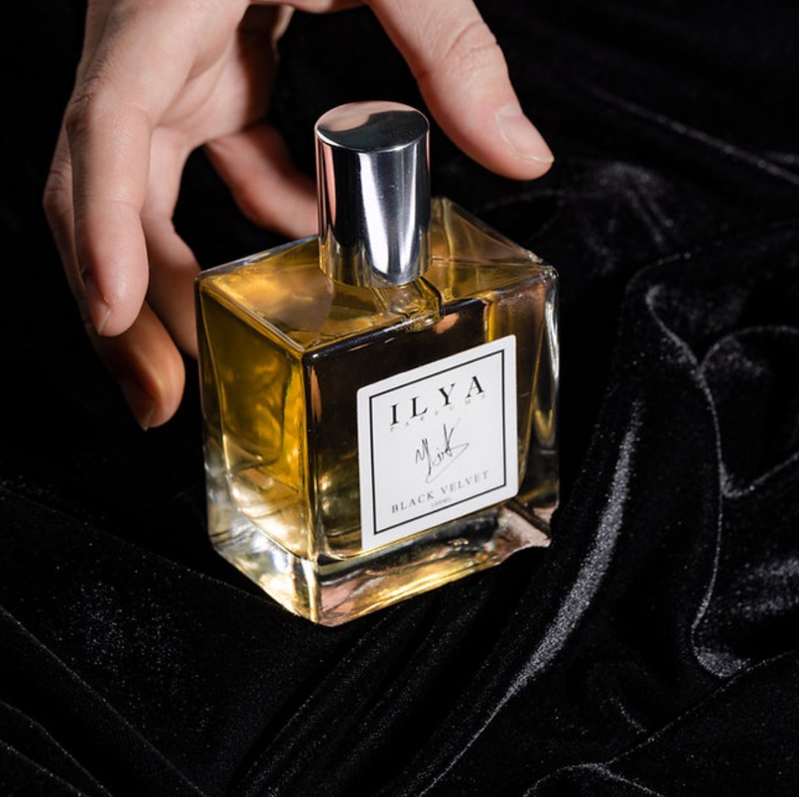 تصویر عطر بلاک ولوت ایلیا پرفیومز