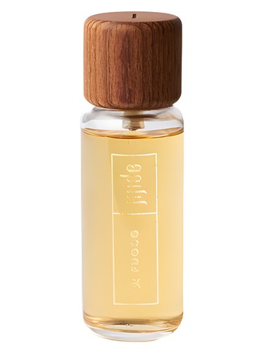 تصویر عطر فووکو جیجید