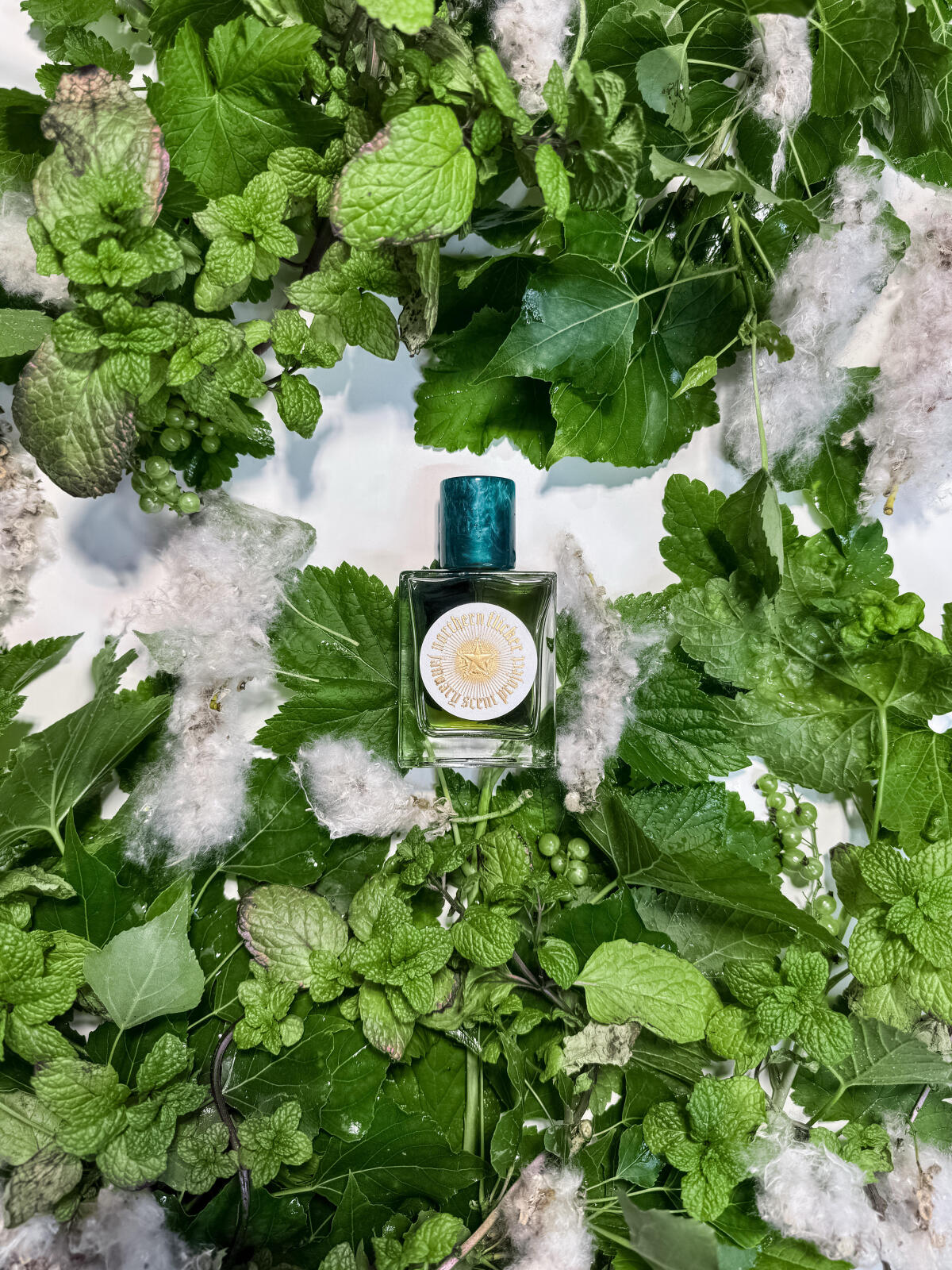 تصویر عطر نورترن فلیکر جَنیوِری سنت پروجکت
