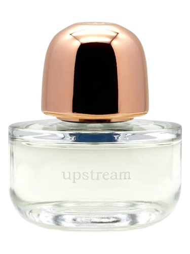تصویر عطر آپ‌استریم کیلسا