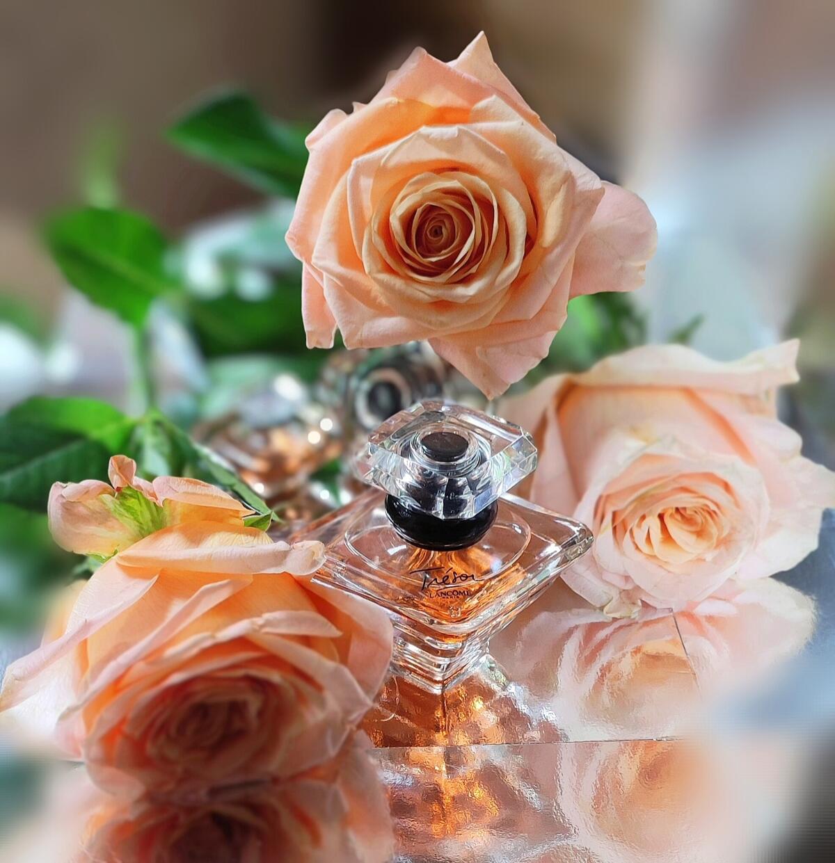 تصویر عطر ترزور او دو پرفیوم لومینوس لانکوم