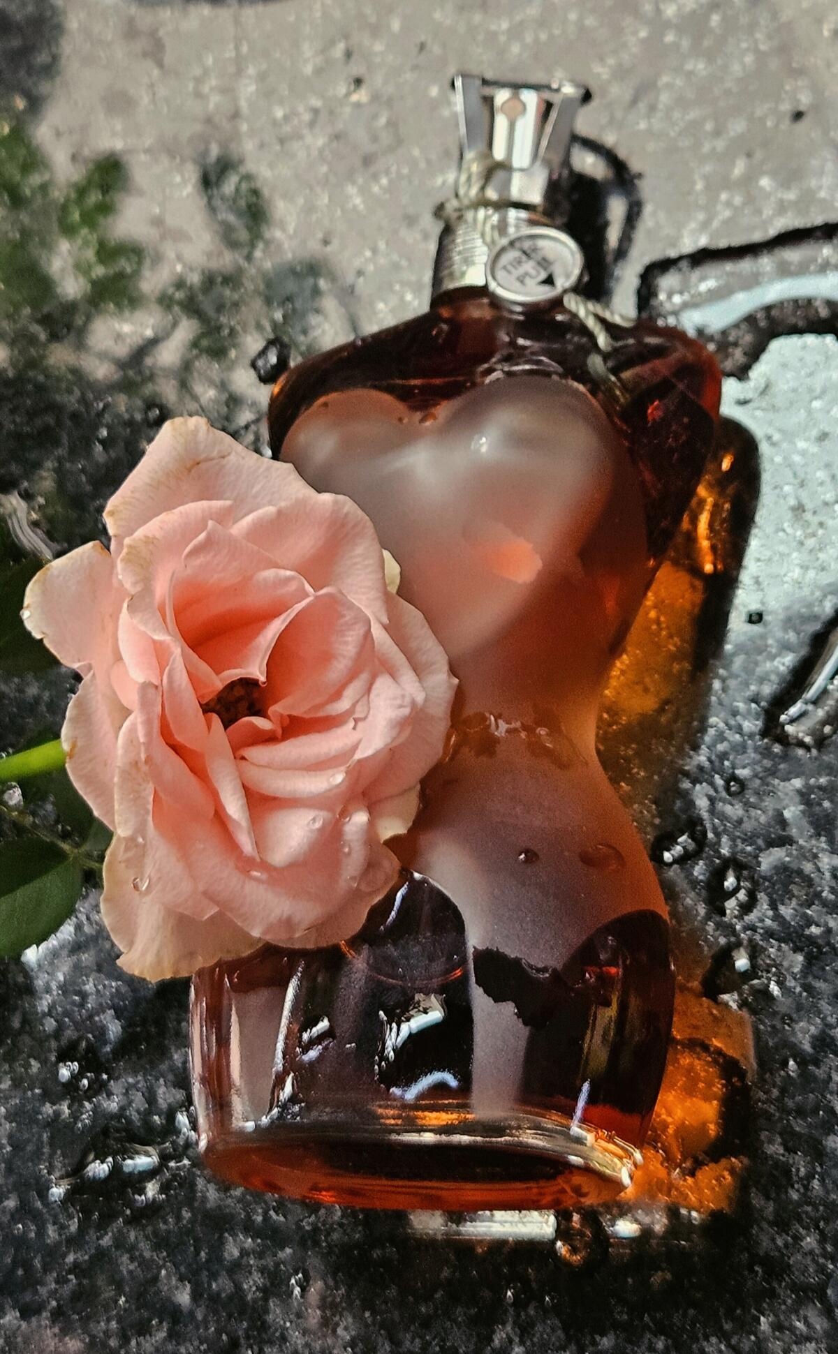 تصویر عطر کلاسیک ژان پل گوتیه