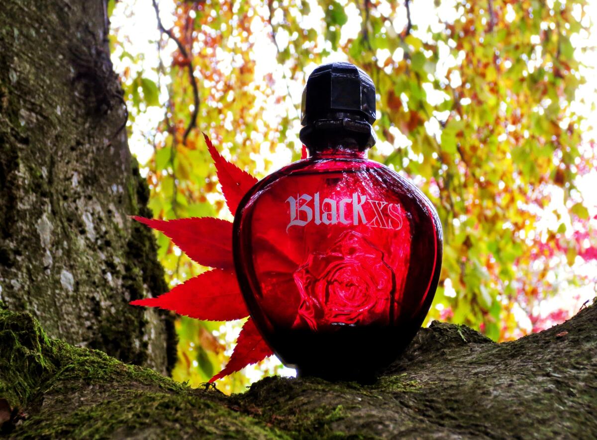 تصویر عطر بِلَک اکس‌اس فور هر رابان