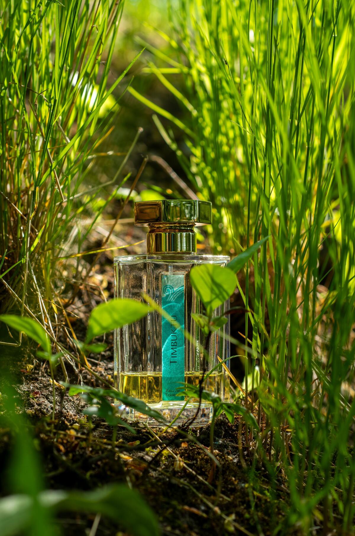 تصویر عطر تیمبوکتو لارتیزان پرفیومر